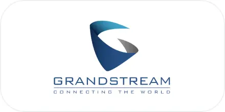 Profexional Grandstream